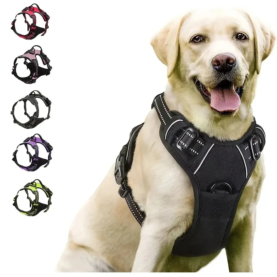 Leather Dog Harness Leash Set