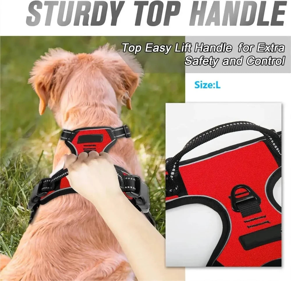 Leather Dog Harness Leash Set
