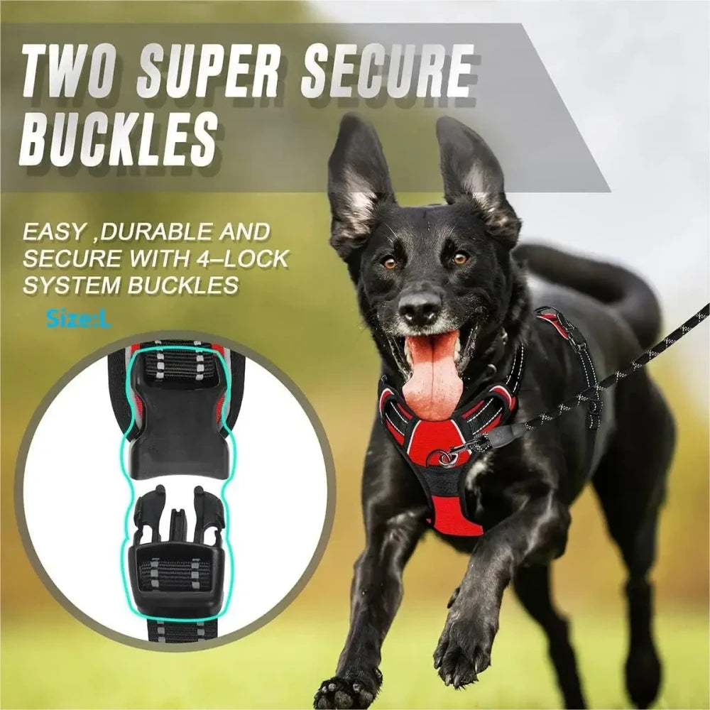 Leather Dog Harness Leash Set
