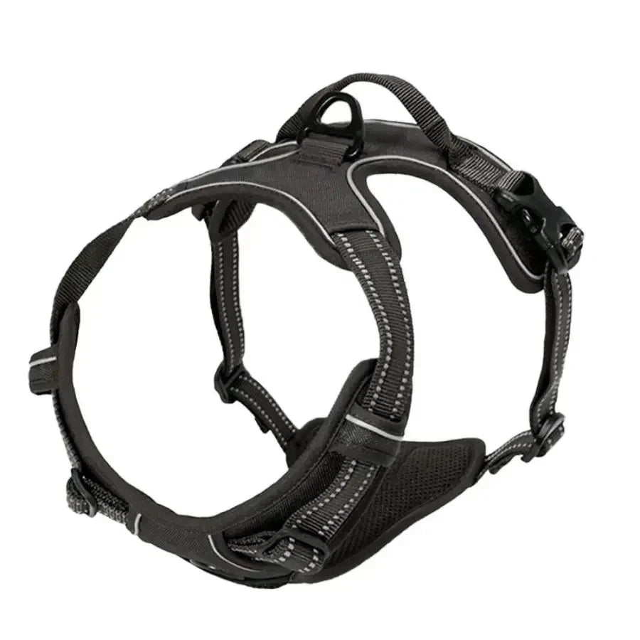 Leather Dog Harness Leash Set