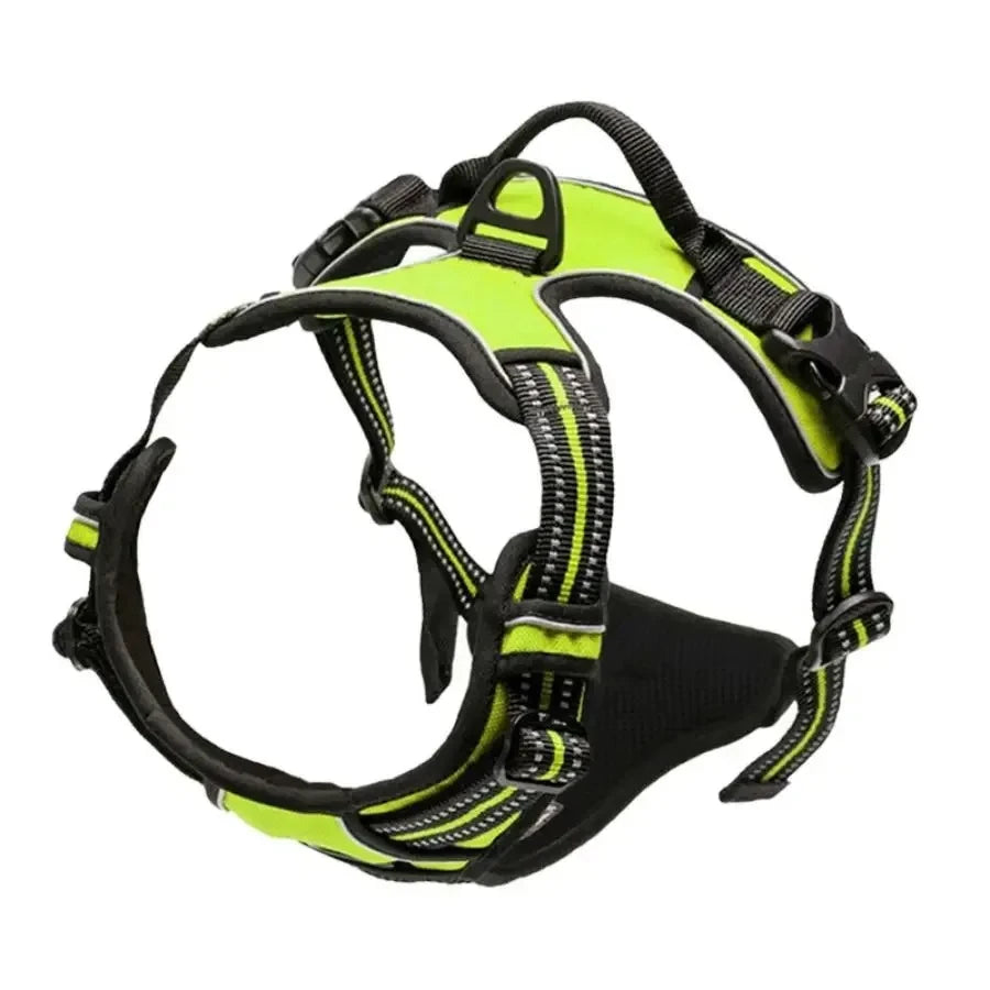 Leather Dog Harness Leash Set