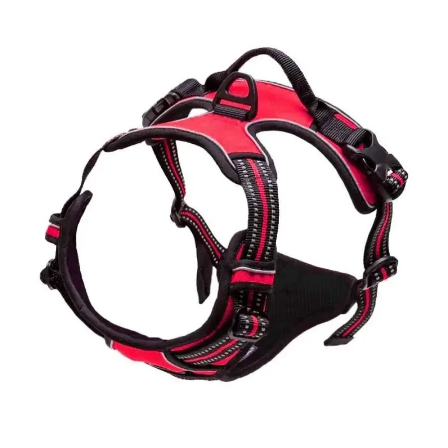 Leather Dog Harness Leash Set