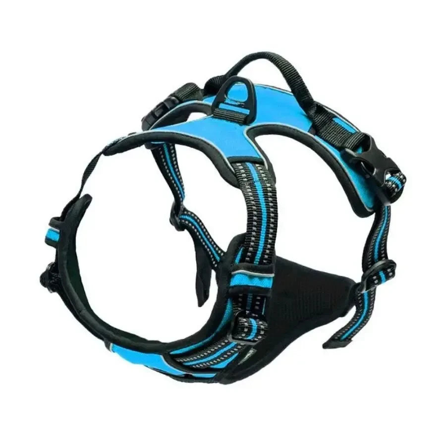 Leather Dog Harness Leash Set
