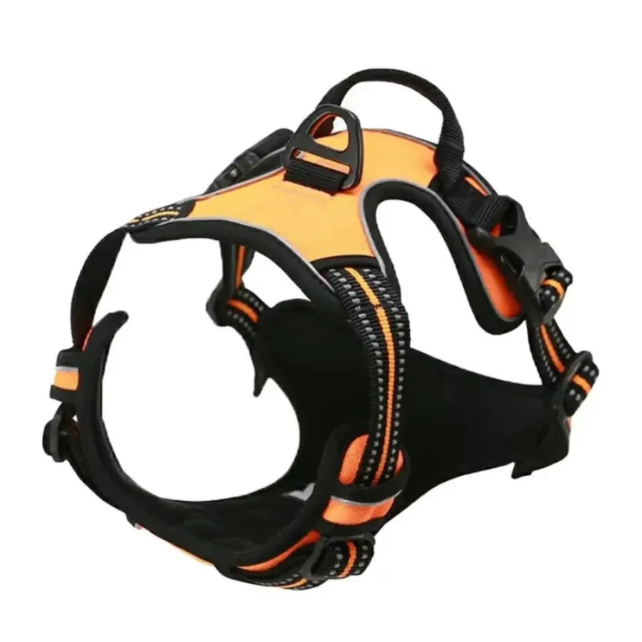 Leather Dog Harness Leash Set