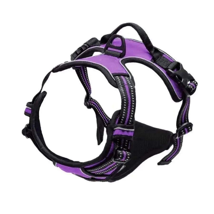 Leather Dog Harness Leash Set