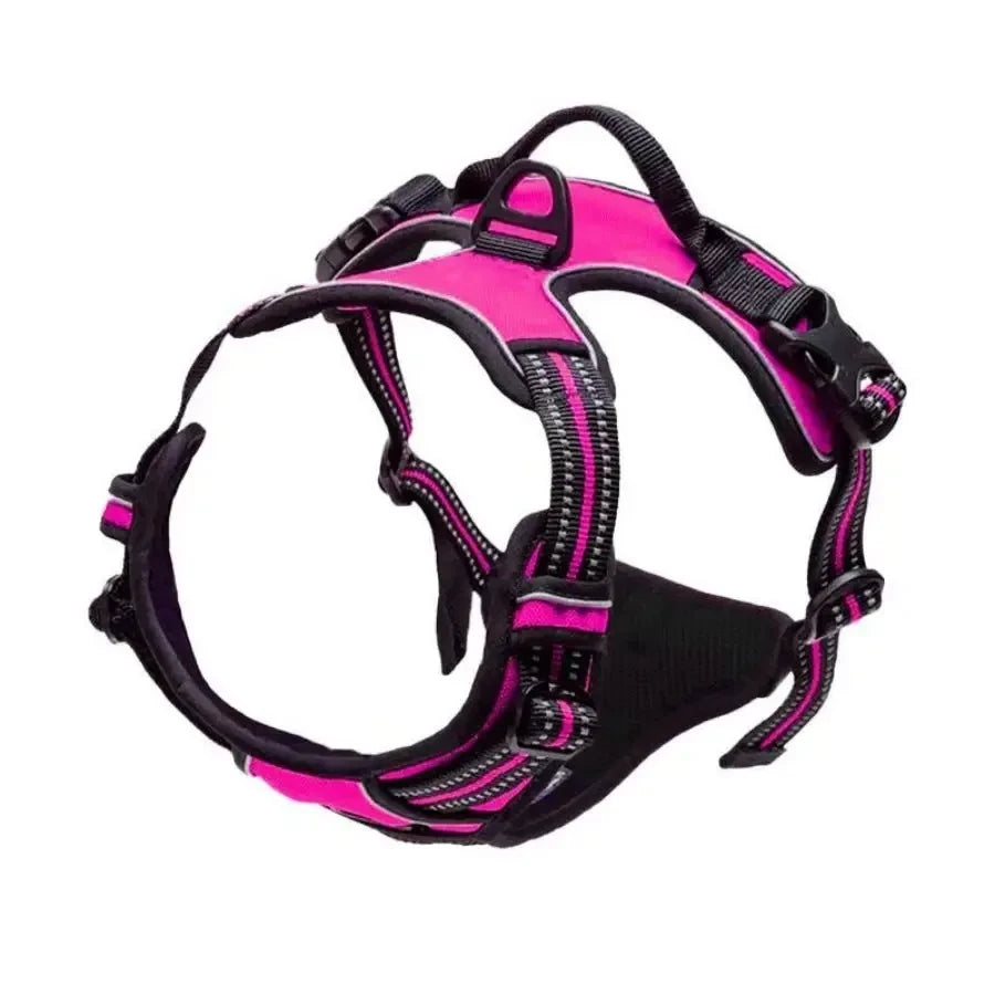 Leather Dog Harness Leash Set