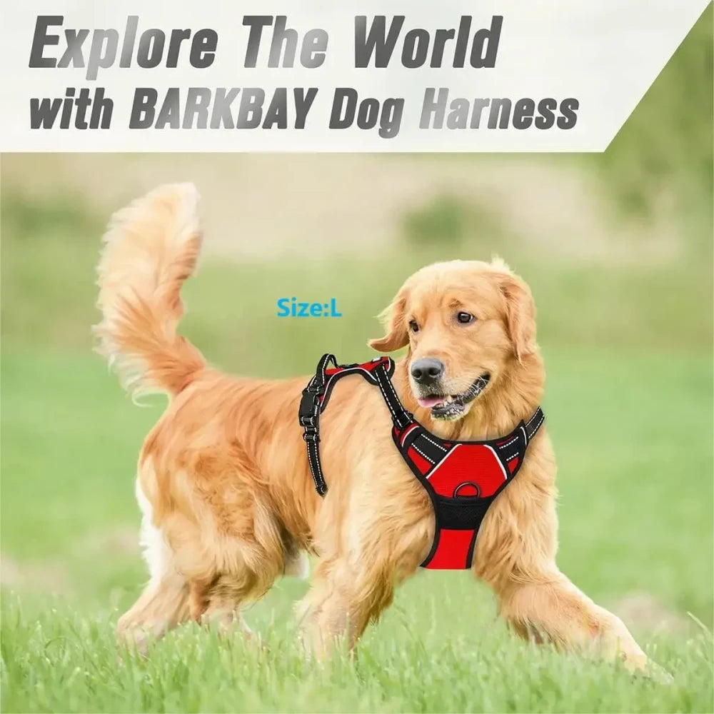 Leather Dog Harness Leash Set