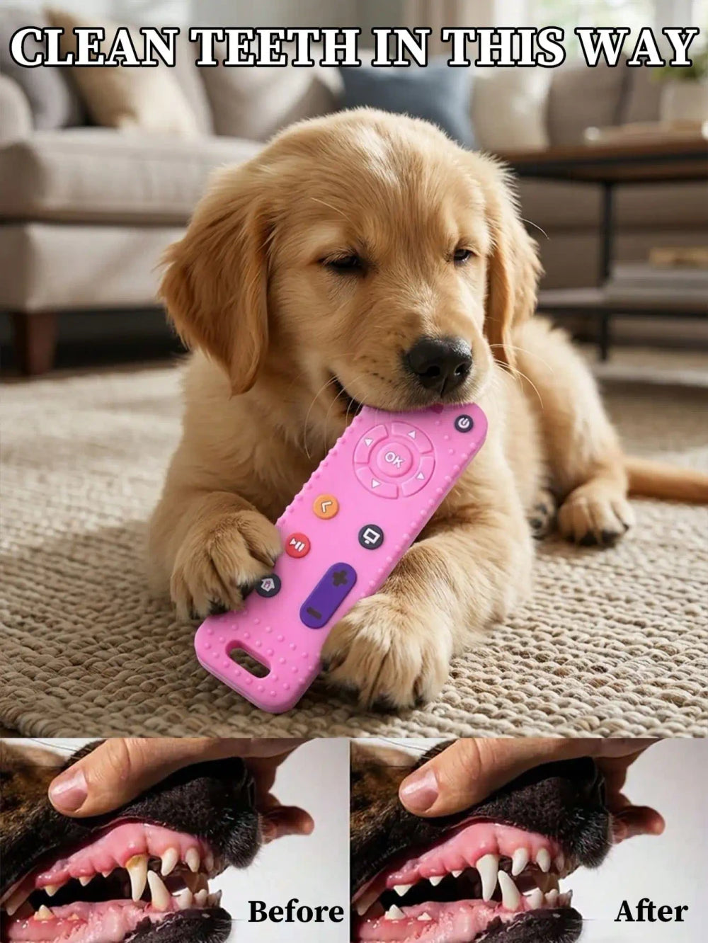 Durable Interactive Dog Chew Toy Set