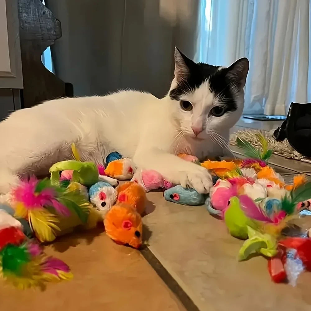 Assorted Cat Toy Variety Pack